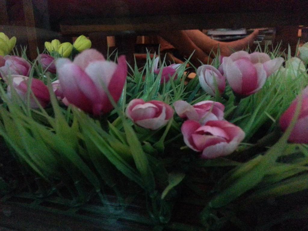 Pink Tulip Hotel Ho Chi Minh City Εξωτερικό φωτογραφία