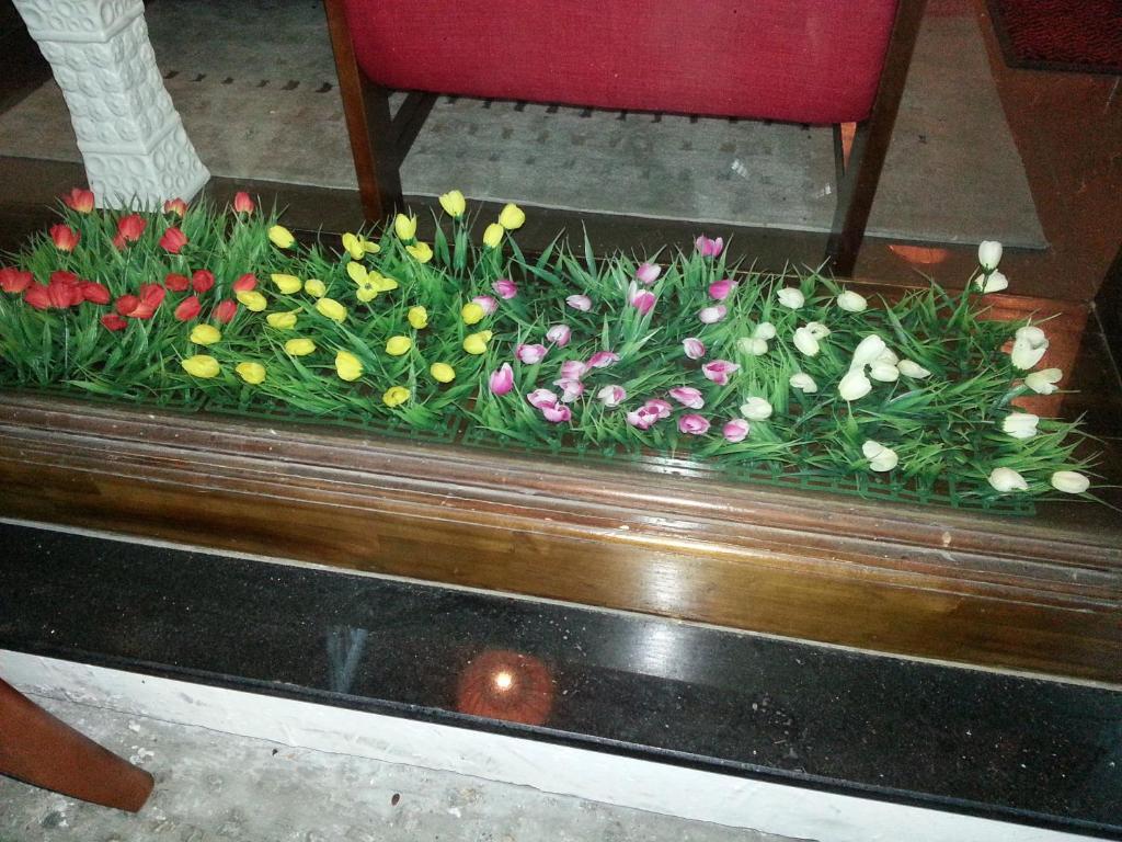 Pink Tulip Hotel Ho Chi Minh City Εξωτερικό φωτογραφία