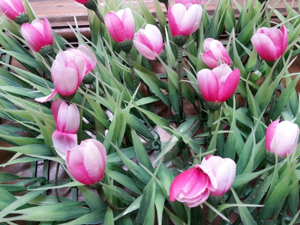 Pink Tulip Hotel Ho Chi Minh City Εξωτερικό φωτογραφία